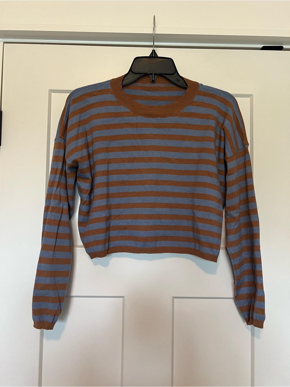 Striped Crewneck Cropped Sweater - Blue & Brown